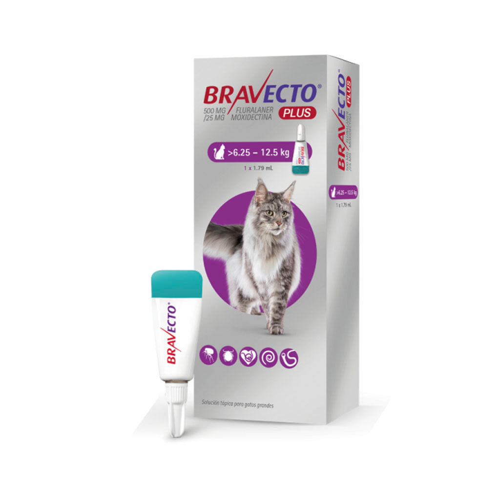 Antipulgas para gato pipeta Bravecto gato - 6.25 a 12.5kg