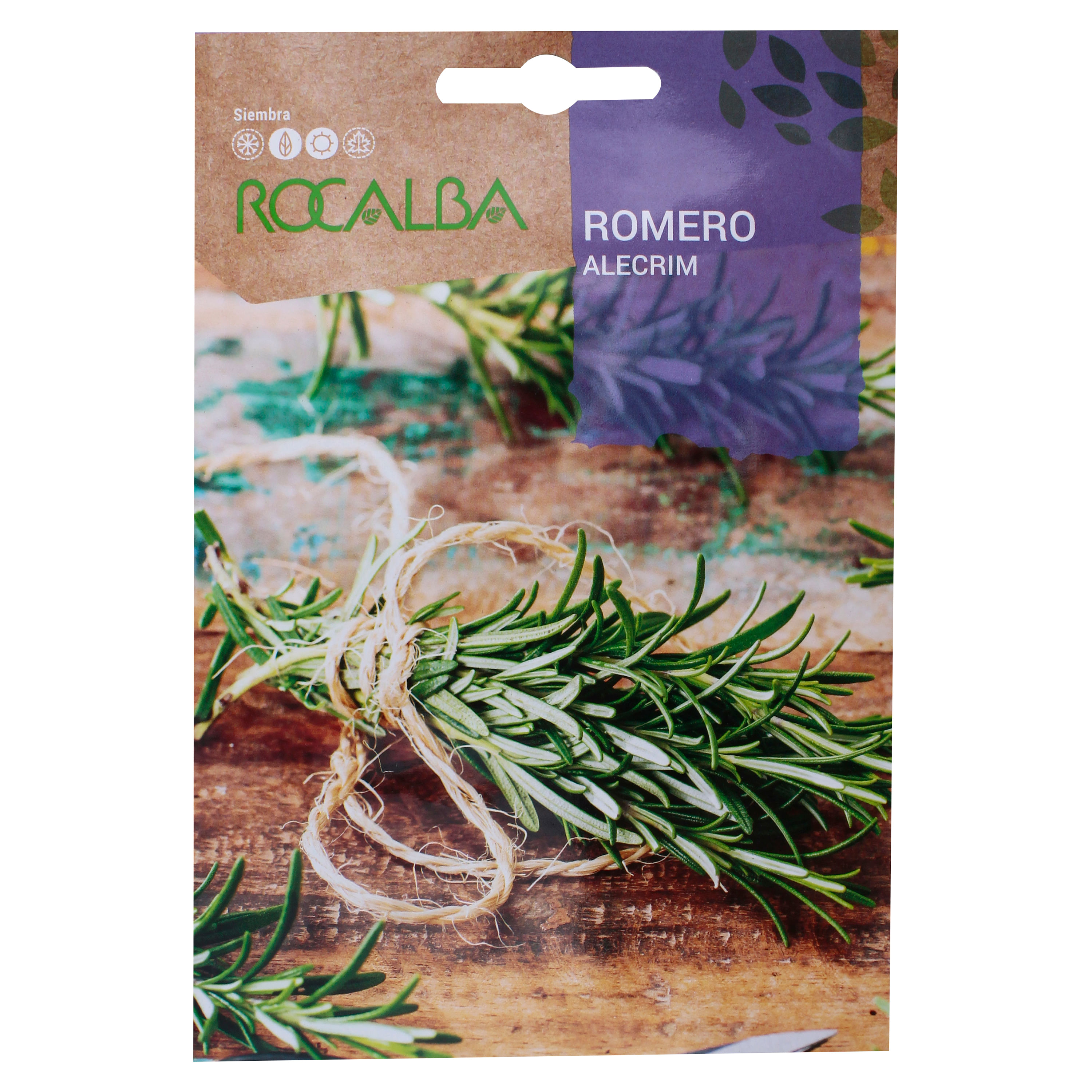 Semilla Romero Officinalis Rocalba