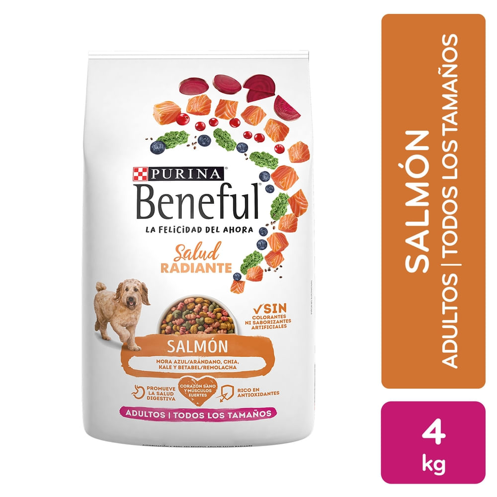 Alimento Perro Salud Radiante Salmón Beneful