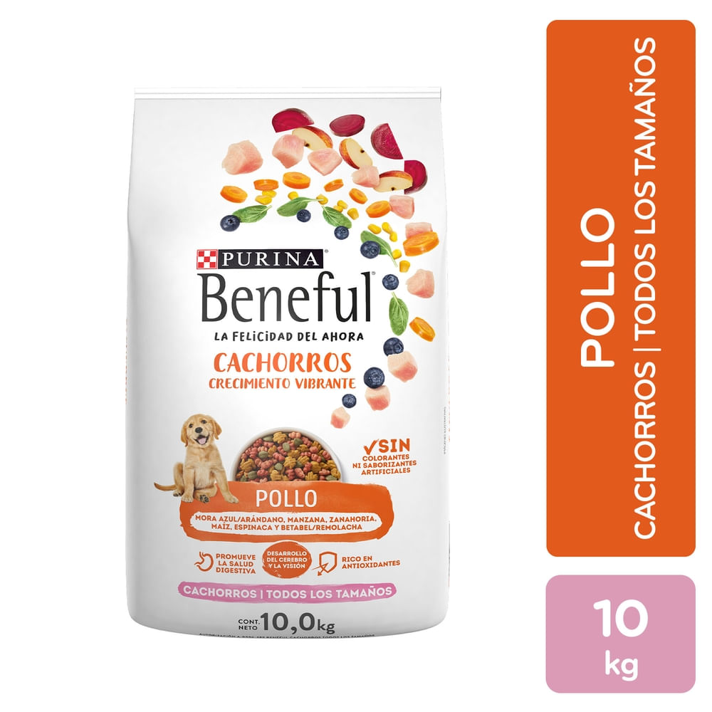 Alimento seco Purina Beneful para cachorro sabor pollo -10 kg