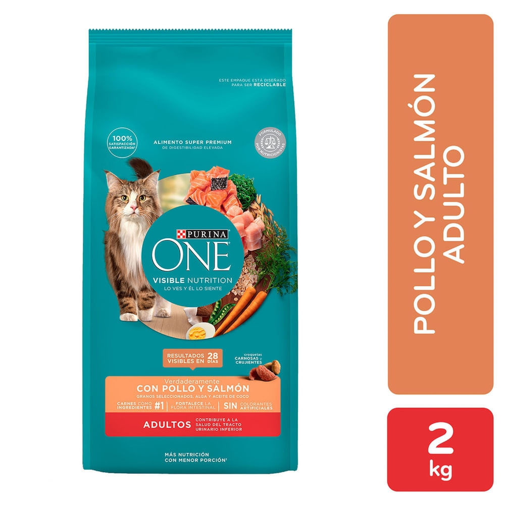 Alimento Gato Pollo Y Salmón One