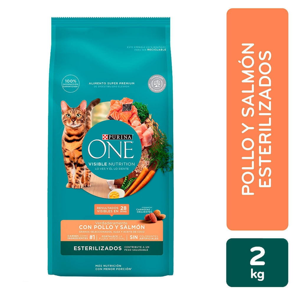 Alimento Gato Pollo Y Salmón One