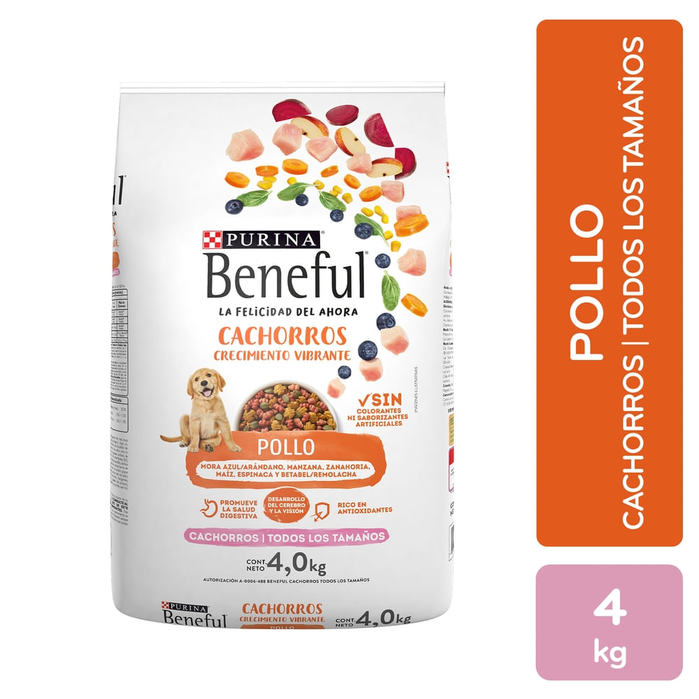 Alimento Perro Cachorro Pollo Beneful