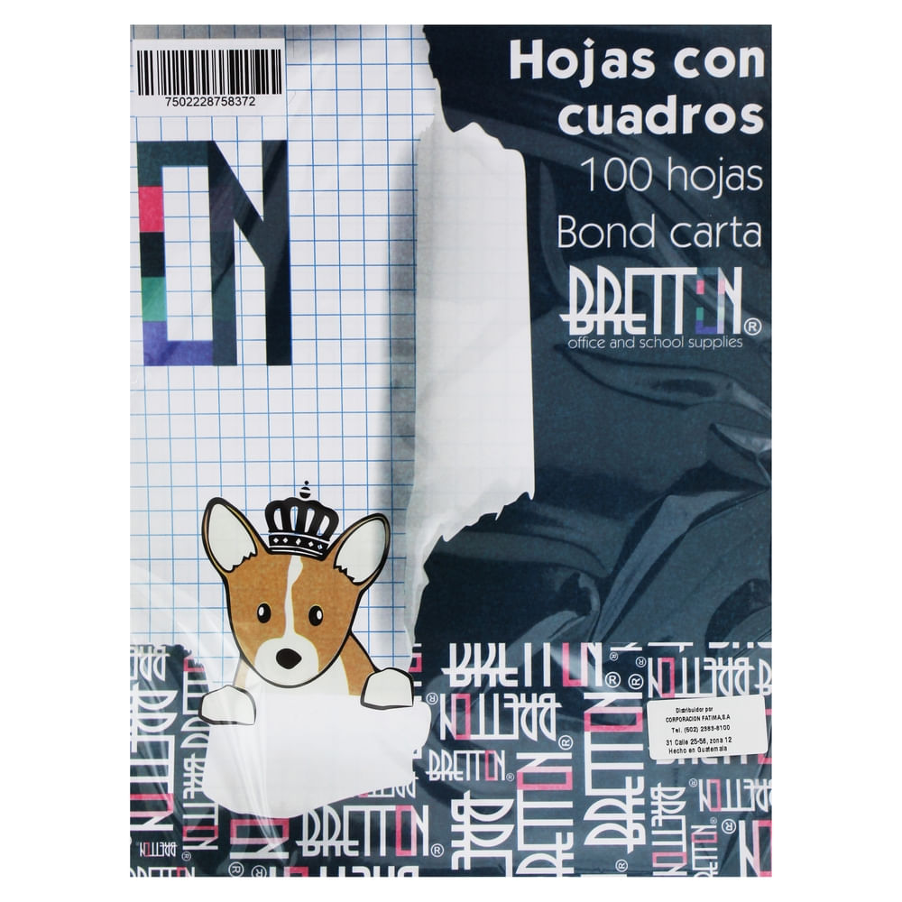 Hojas Bretton de papel bond cuadriculado tamaño carta - 100 Uds