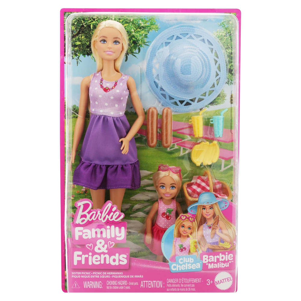 Barbie picnic con chelsea