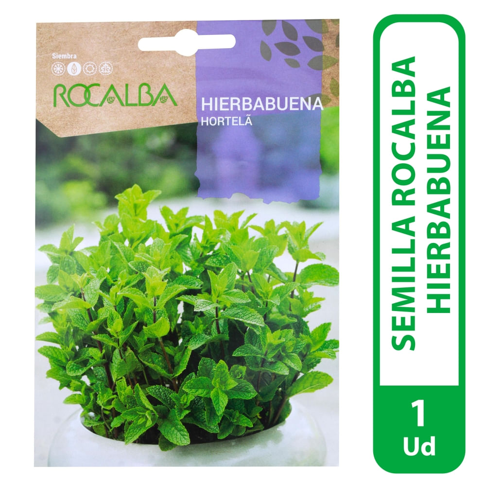 Semilla Rocalba Hierbabuena