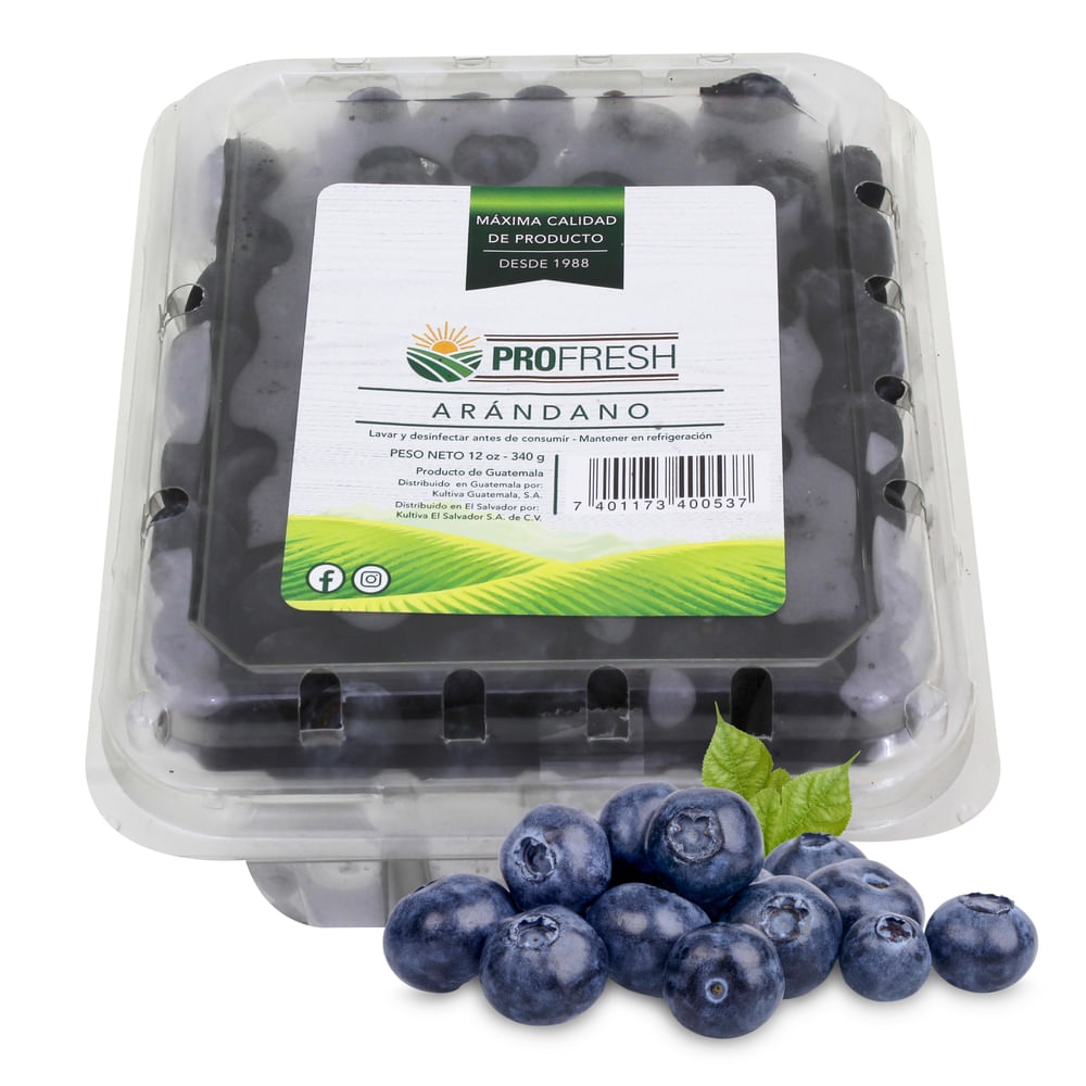 Arándanos Azules Clamshell - 340 g