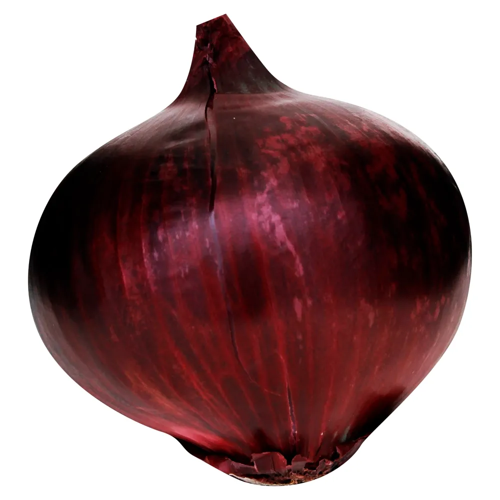 Cebolla Morada 1 Lb - 3 a 4 Unidades por Libra Aproximadamente